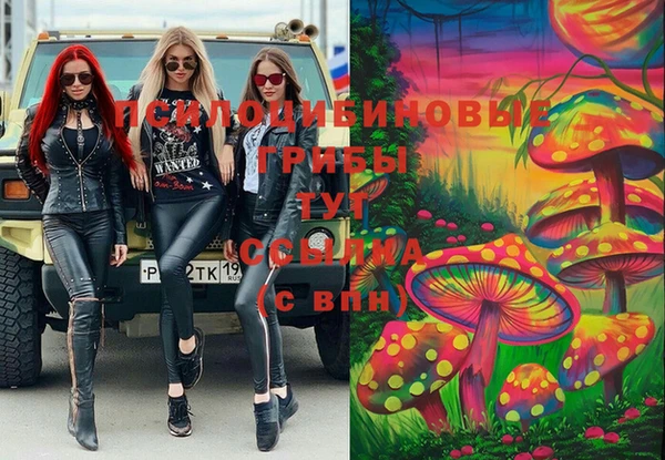 Альфа ПВП Армянск