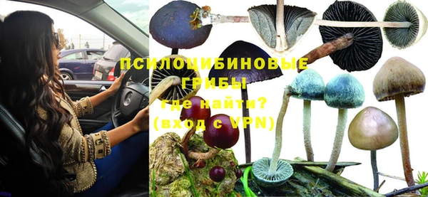 ГАЛЛЮЦИНОГЕННЫЕ ГРИБЫ Арсеньев