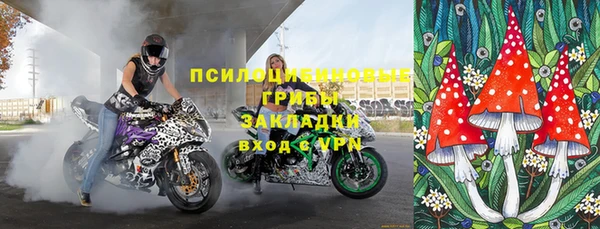 ГАЛЛЮЦИНОГЕННЫЕ ГРИБЫ Арсеньев