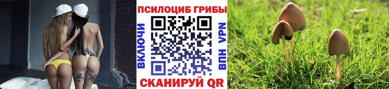 Псилоцибиновые грибы мухоморы  даркнет сайт  Сенгилей 