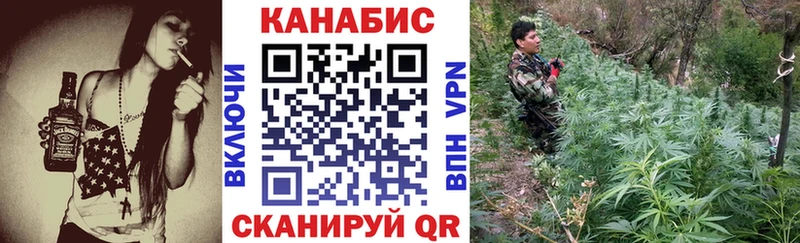 Каннабис White Widow  как найти закладки  Сенгилей 